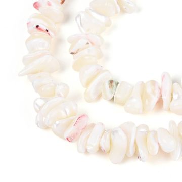 1 Чипс от черупки на морски охлюв Trochide, бял флорален цвят