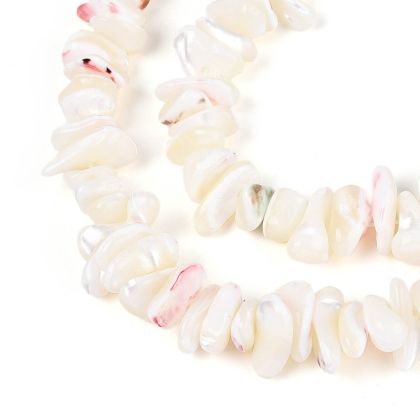 1 Чипс от черупки на морски охлюв Trochide, бял флорален цвят