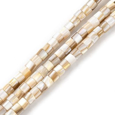 1 Мъниста от сладководни мидени черупки, цилиндрична форма